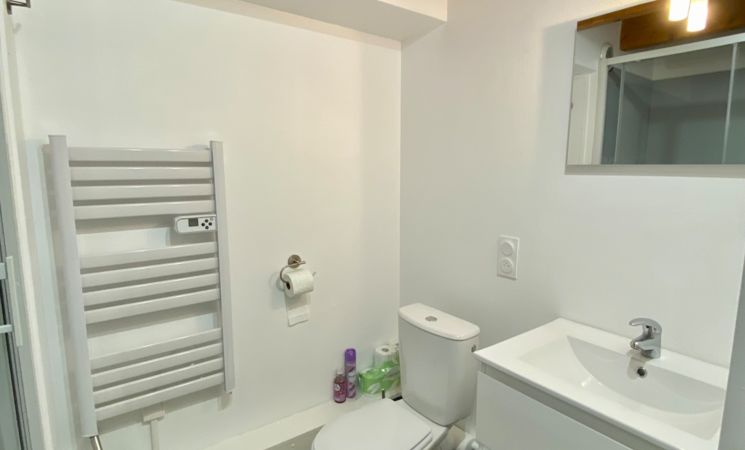 Emile Julie Fournier Morel