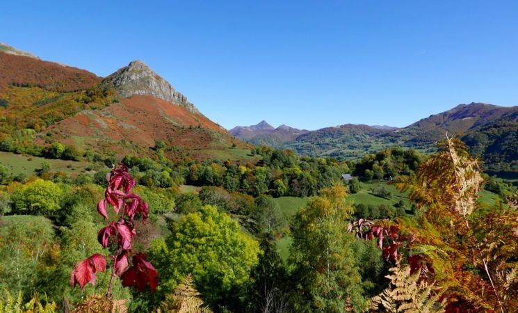 Bruno Bernasconi - Accompagnateur en Montagne_Saint-Saturnin