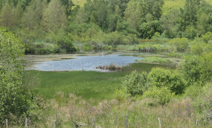 Sortie Découverte Voyage au Pays des Tourbieres_Murat