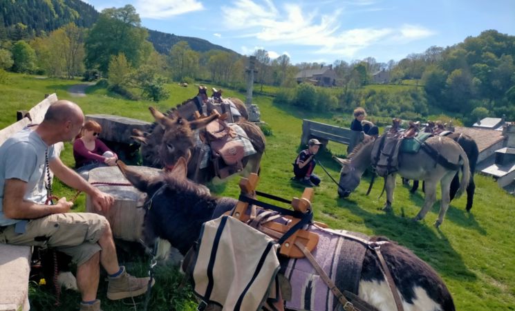 Le Printemps de l'Âne