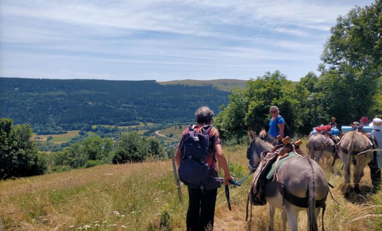 Le Printemps de l'Âne