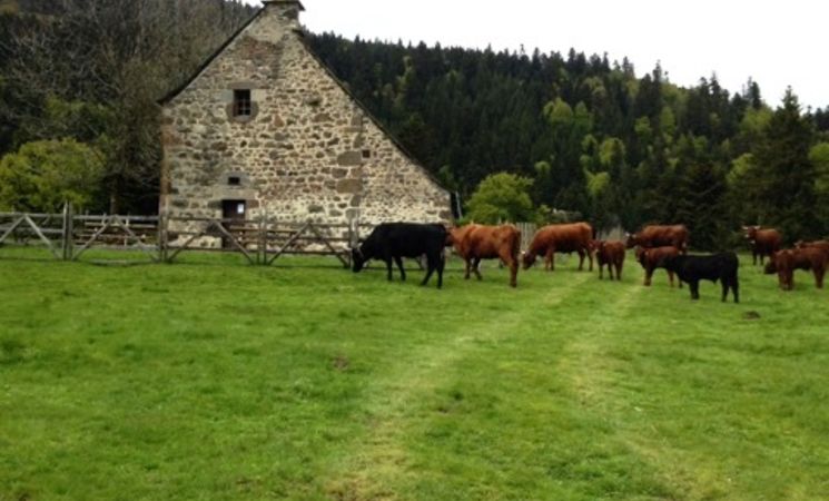 Maison du buronnier - Laveissière