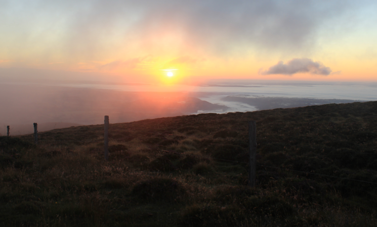 Sortie au lever du soleil : à l'aube du vivant_Murat