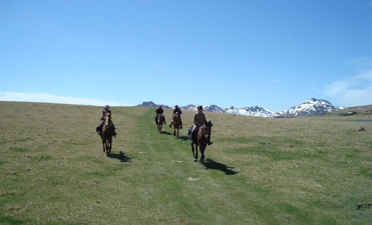 Pôle équestre de pleine nature de la Pinatelle