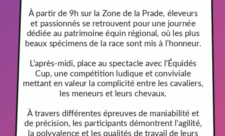 Fête du Cheval Auvergne_Massiac