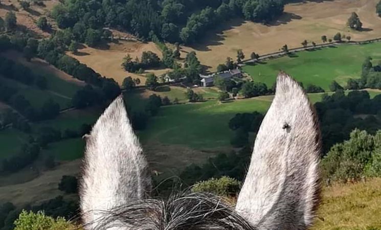 Pôle équestre de pleine nature de la Pinatelle