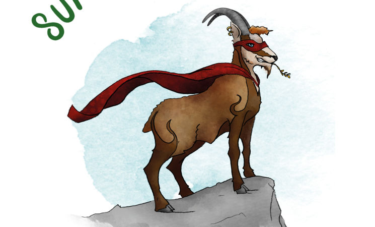 La Ferme de Super Chamois