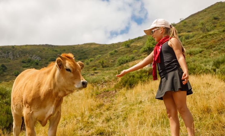 Télésiège de Rombière_Le Lioran