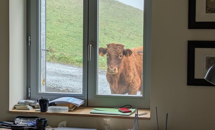 La Maison 50 - Belvédère du Cézallier - Nature & calme