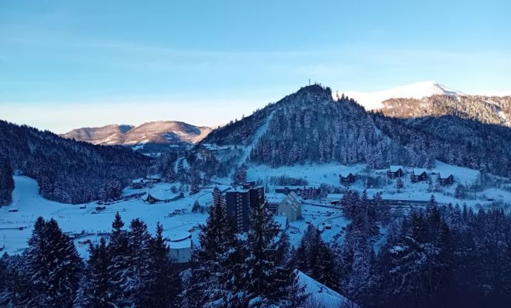 image0000061.jpg pracchia