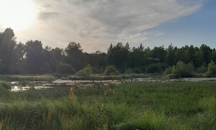 Stage jeunes et tourbières formule 4 jours / 3 nuits_Murat
