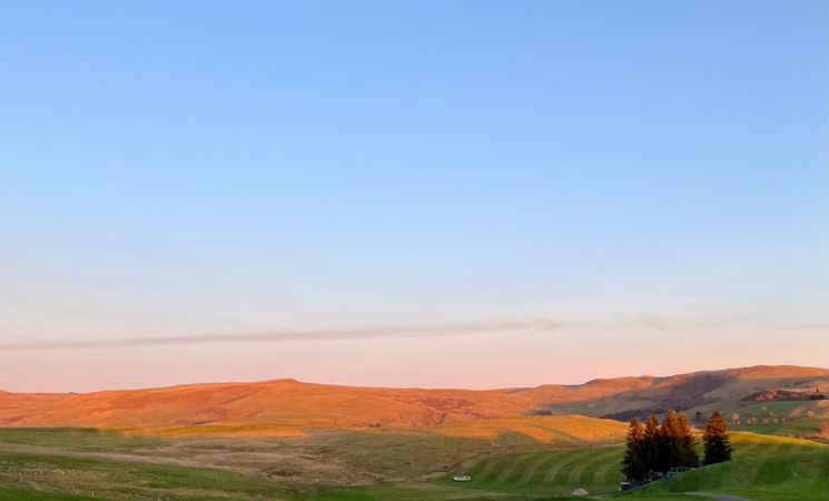 La Maison 50 - Belvédère du Cézallier - Nature & calme