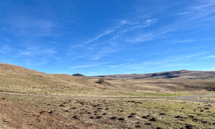 La Maison 50 - Belvédère du Cézallier - Nature & calme