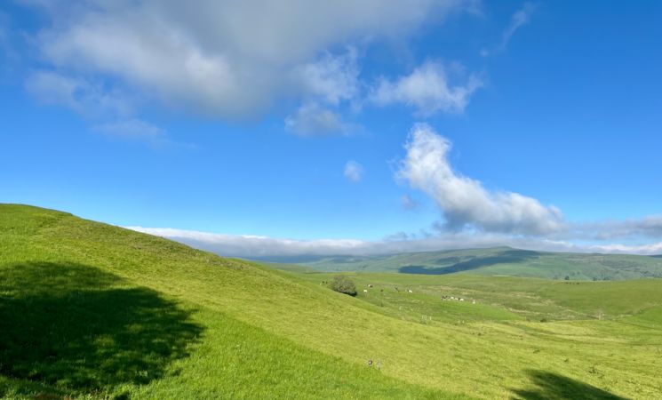 La Maison 50 - Belvédère du Cézallier - Nature & calme