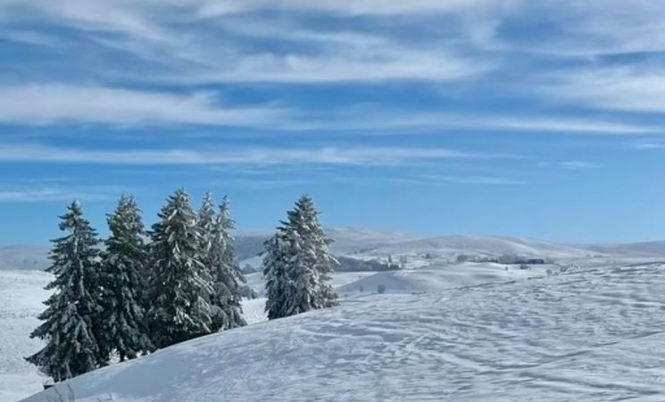 La Maison 50 - Belvédère du Cézallier - Nature & calme