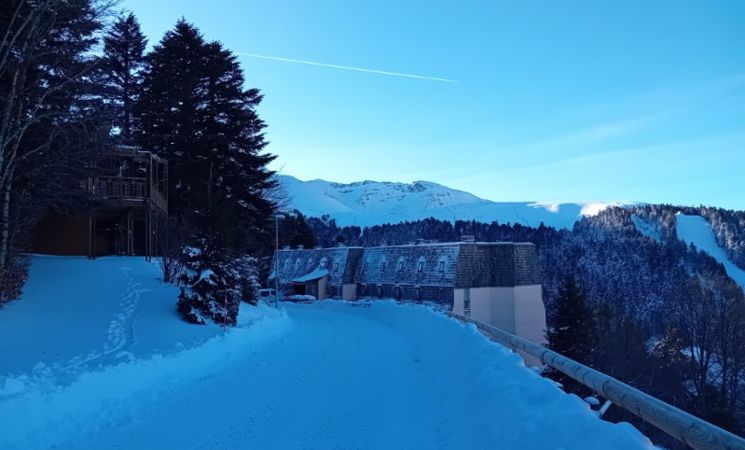 image0000011.jpg pracchia