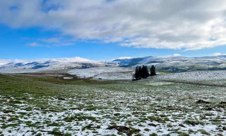 Vue de la véranda