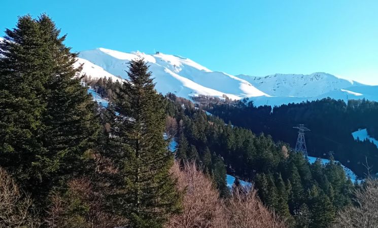 image0000021 (1).jpg pracchia