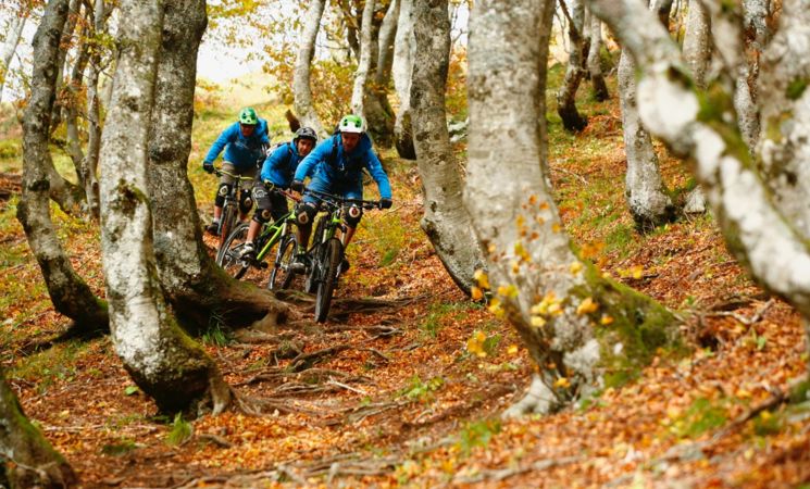 VTT