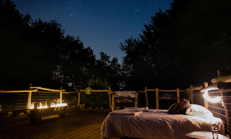 La tête dans les étoiles - Nuit au Parc