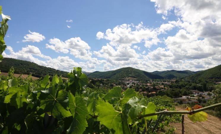 Domaine Le Chlo d'Auzit