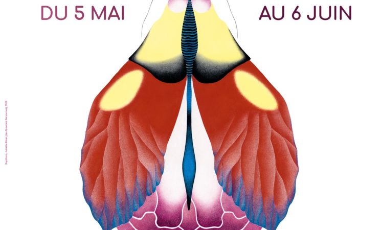 Exposition - Papillons_Murat