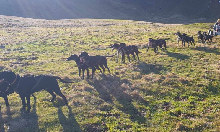 Visite pédagogique autour des animaux_Chavagnac