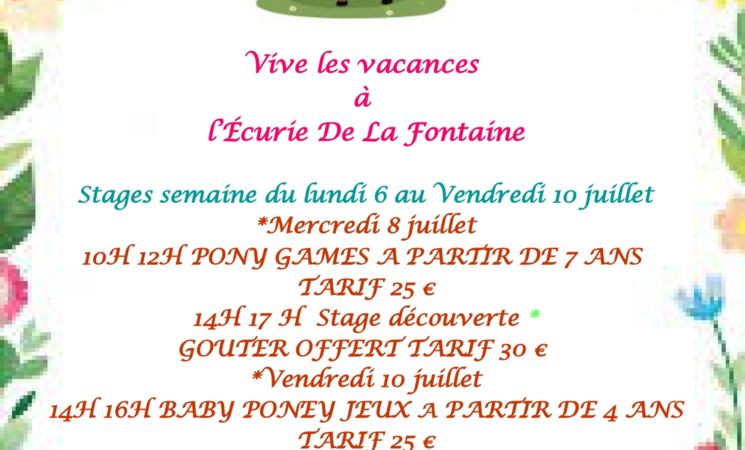 Stages Poney à l'Ecurie de la Fontaine_Charmensac