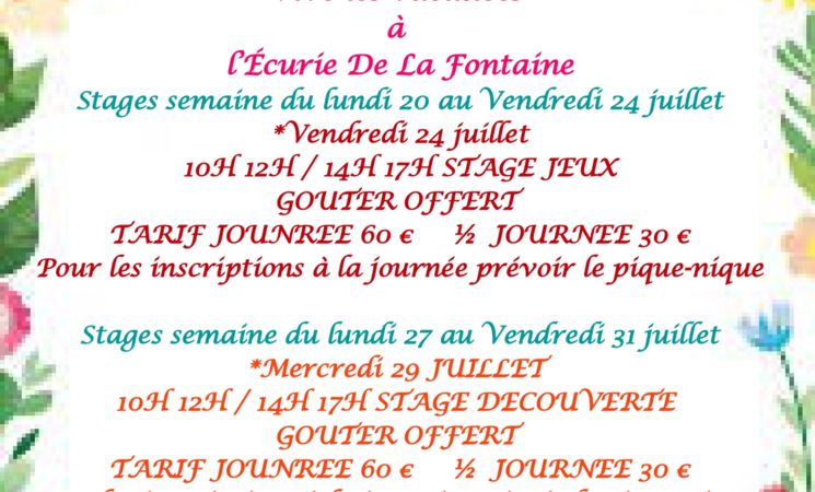 Stages Poney à l'Ecurie de la Fontaine_Charmensac