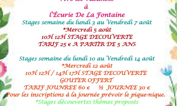 Stages Poney à l'Ecurie de la Fontaine_Charmensac