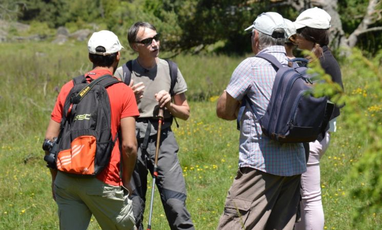Rando Cantal