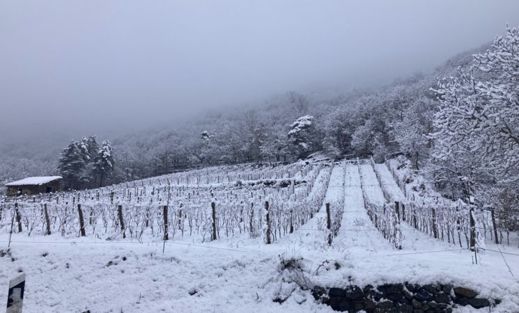 Domaine Le Chlo d'Auzit