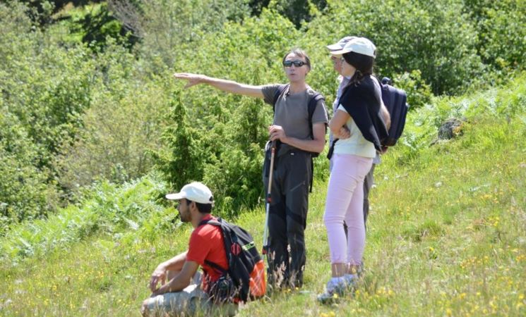 Rando Cantal