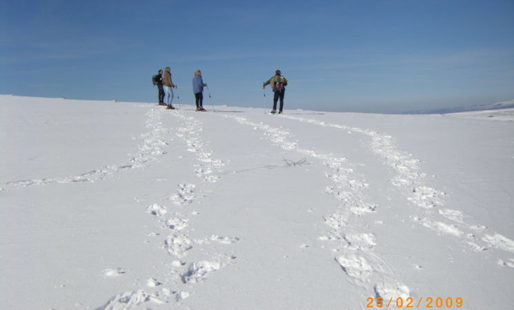 Rando Cantal