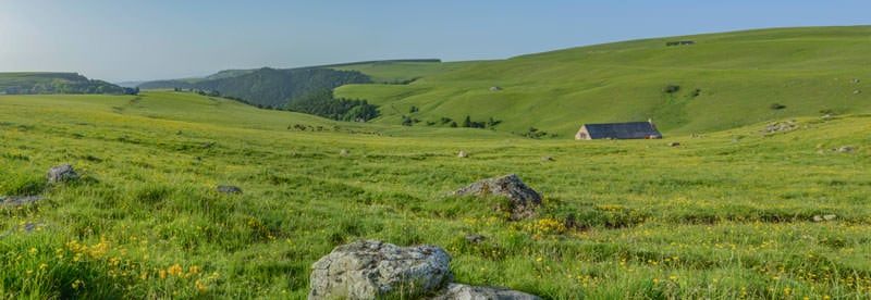 Tour des vaches rouges - Hautes Terres Tourisme