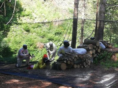 Adrena Paintball