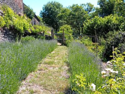 Mélisse & compagnie, visite des jardins