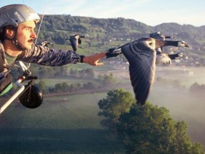 Voler avec les Oiseaux