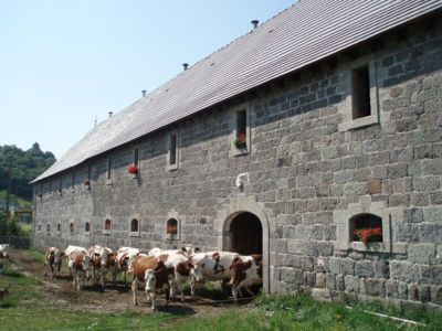 Visite d'une ferme fromagère, rencontre avec les animaux - Grange de la Haute Vallée