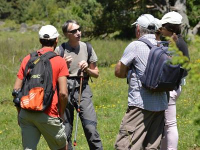 Rando Cantal