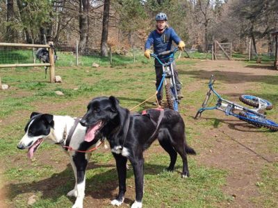 La Grange des Huskies