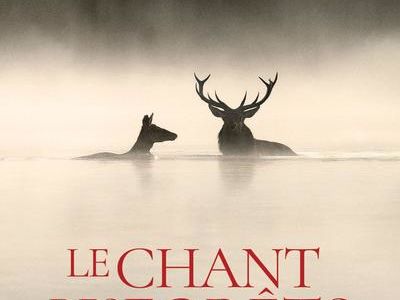Coup de coeur du public : Le chant des forêts
