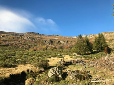 Trail 15 - Plomb du Cantal Prés Marty