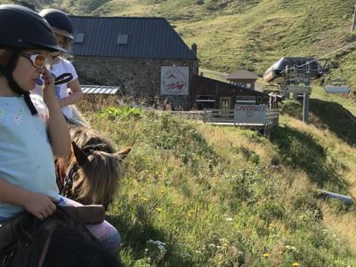 Stage Poneys en pleine nature