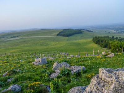 Cyclo. Les monts du Cézallier