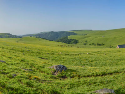Roche grande