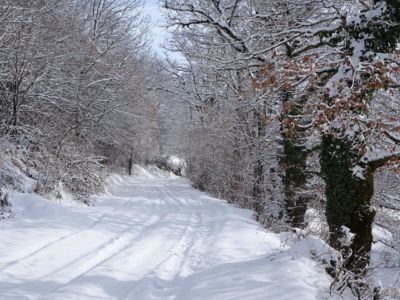 Les Chazes desde Font de Cère