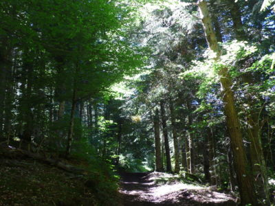 Tour de la vallée du Lagnon
