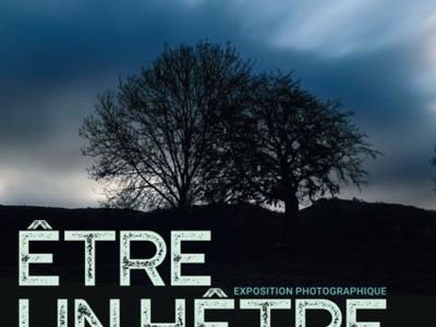 Exposition Photographique - Être un hêtre