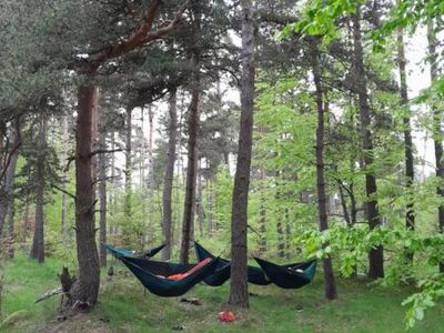 Nuit au coeur du vivant en forêt, montagne ou tourbières
